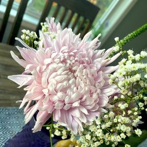 Meet your Posher, Leah